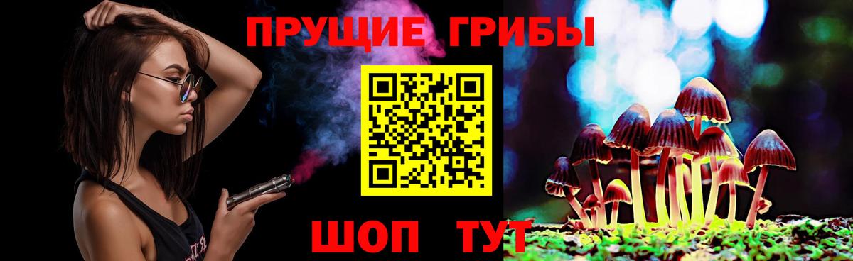 Псилоцибиновые грибы мицелий Киржач